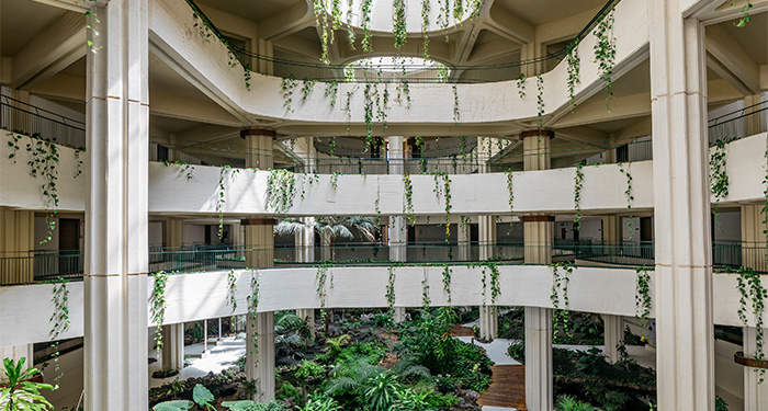 Wellness lanzarote interior