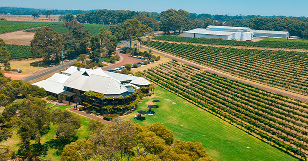 Vineyard australia