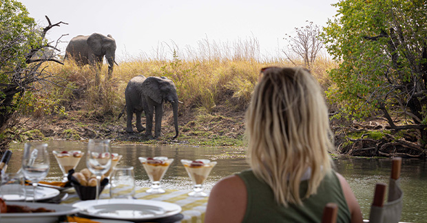 zambia safari