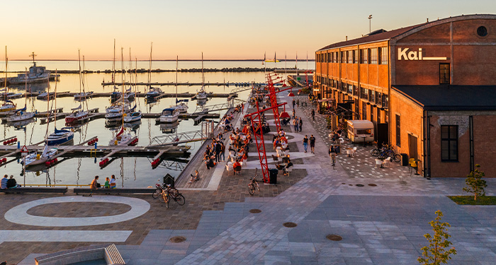 Estonia docks
