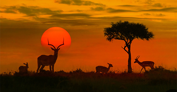 South Africa