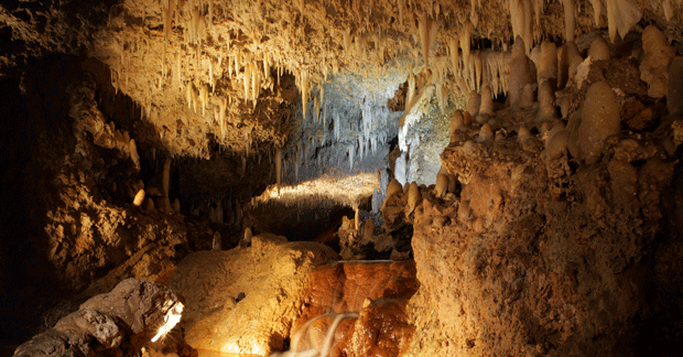 Harrisons-Cave-copy_resized