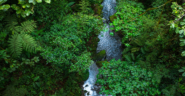 Costa Rica
