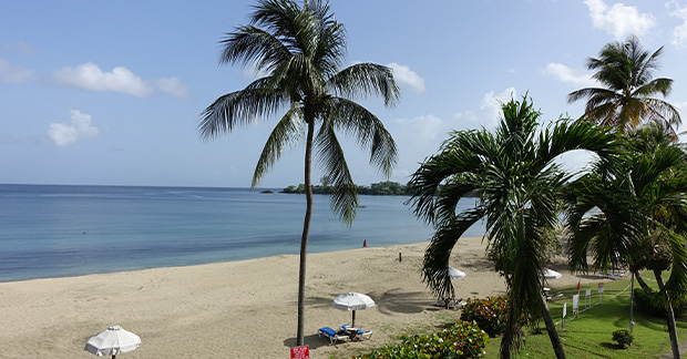 Starfish beach