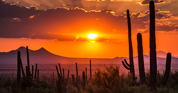 Tuscan Arizona