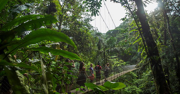 Costa Rica bridge