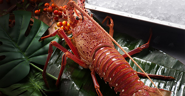 Rock lobster