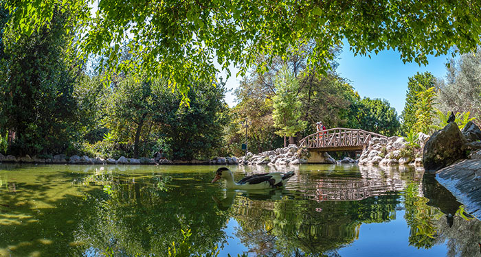 shutterstock-National-Garden-of-Athens